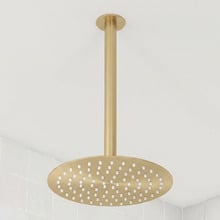 Clovelly 250mm Shower Head